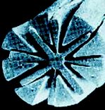 Closeup image of microfiber.